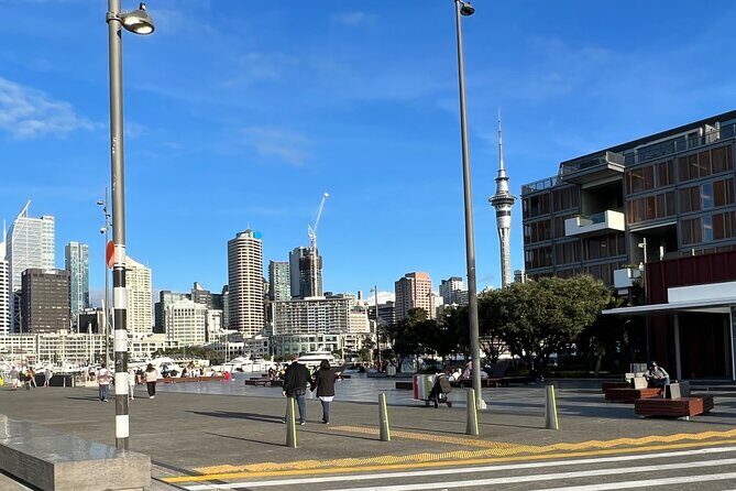 Private Transfer From Auckland Airport Oaks To Auckland City - Authentic traveler insights