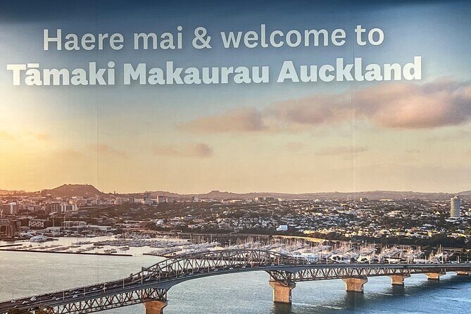 Private Transfer From Auckland Airport To Hibiscus Coast - Practical Details and Considerations
