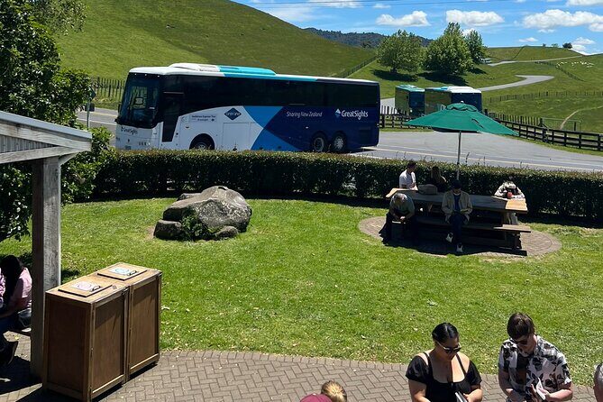 Private Transfer From Auckland Airport To Matamata - How This Service Fits Into Your Trip