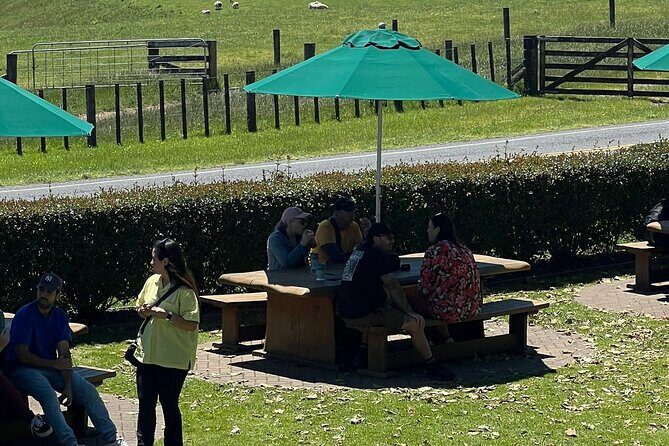 Private Transfer From Auckland Airport To Matamata - Authenticity and Local Knowledge