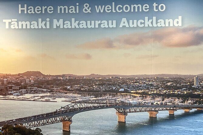 Private Transfer From Auckland Airport To Omaha And Snells Beach - Why This Service Stands Out