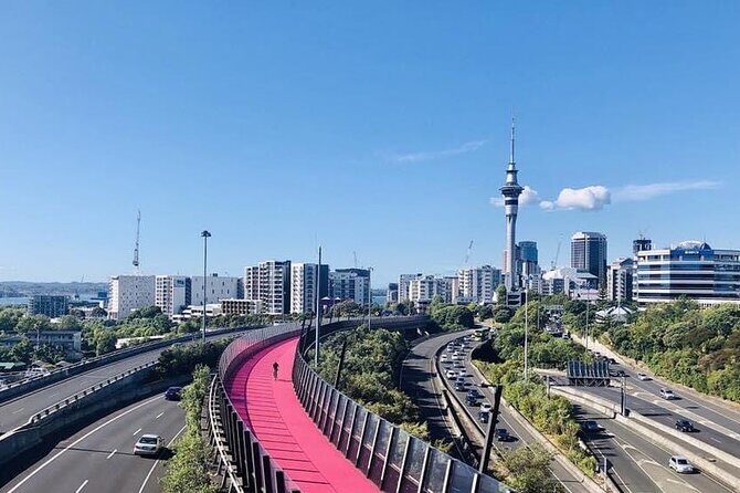 Private Transfer From Auckland Airport To Taupo - Vehicle Comfort and Features