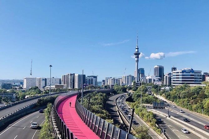 Private Transfer From Auckland CBD Hotels To Cruise Ship - Who is This Transfer Best For?