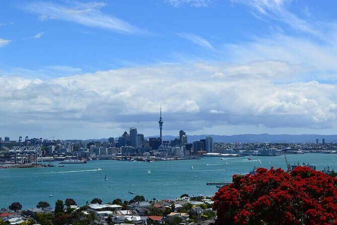 Private Transfer From Auckland City To Auckland Airport - Who Should Book This Service?
