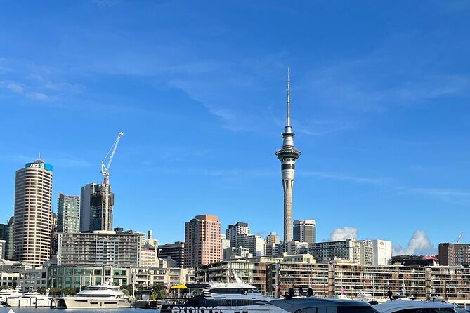 Private Transfer From Auckland Domestic Airport To Auckland City - The Bottom Line