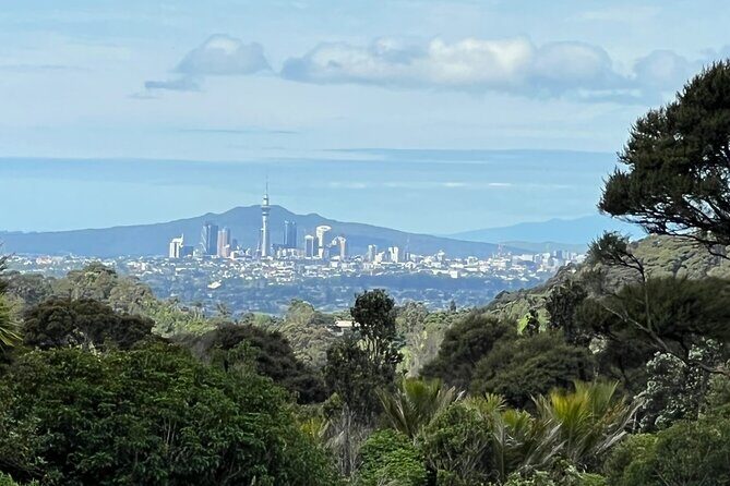 Private Transfer From Auckland International Airport To Auckland City - Authentic Traveler Experiences
