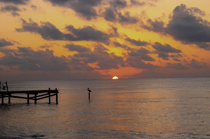 Private Transfer From Chiquila to Playa del Carmen, English Speaking Driver - The Sum Up: Is It Worth It?