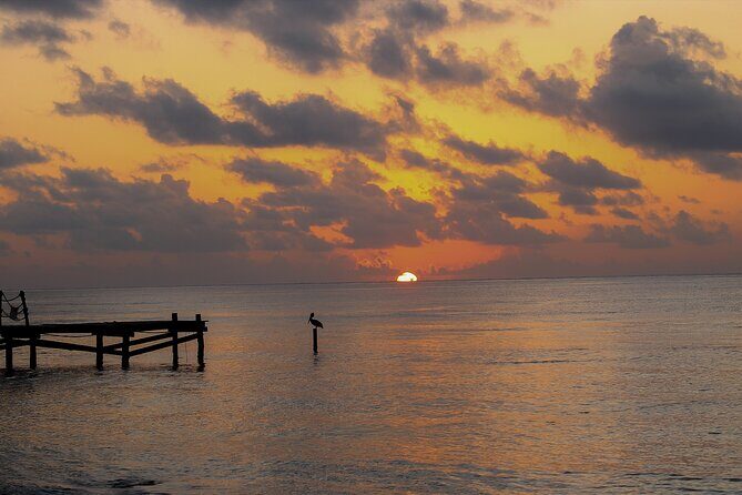 Private Transfer From Chiquila to Playa del Carmen, English Speaking Driver - FAQ