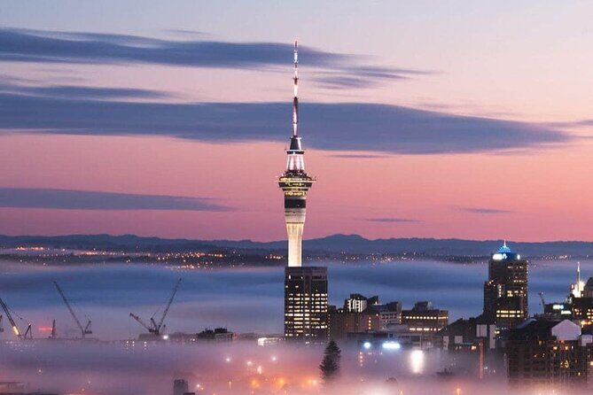 Private Transfer From Cruise Ship To Auckland CBD Hotels - An In-Depth Look at the Auckland Cruise Transfer Experience