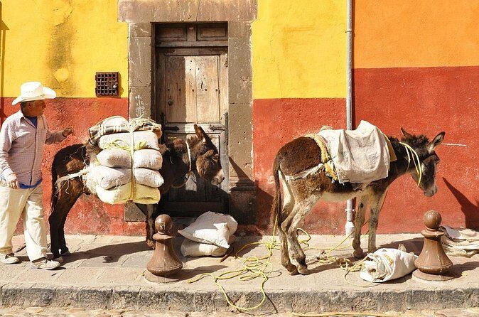 Private Transfer from Guanajuato City to San Miguel de Allende - The Sum Up