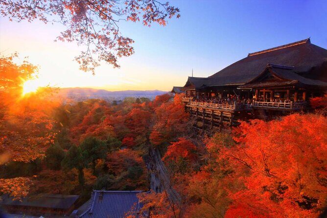 Private Transfer from Kansai International Airport to Osaka - Key Points