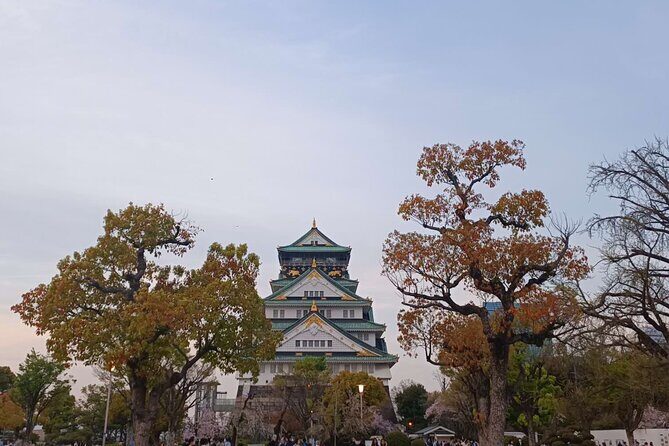 Private Transfer from Kansai International Airport to Osaka - Who Would Love This Transfer?