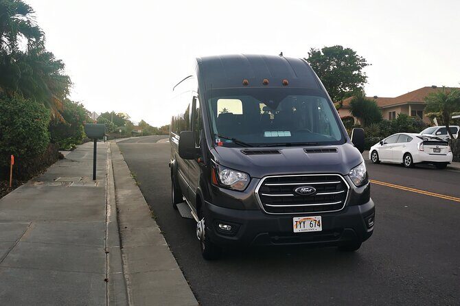 Private Transfer From Kona International Airport to Hotels in Waikoloa & Waimea - Who Is This Service Best Suited For?