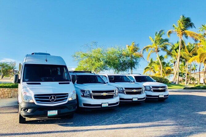Private Transfer from Kumamoto Port to Kumamoto city hotels - What You Can Expect During This Transfer