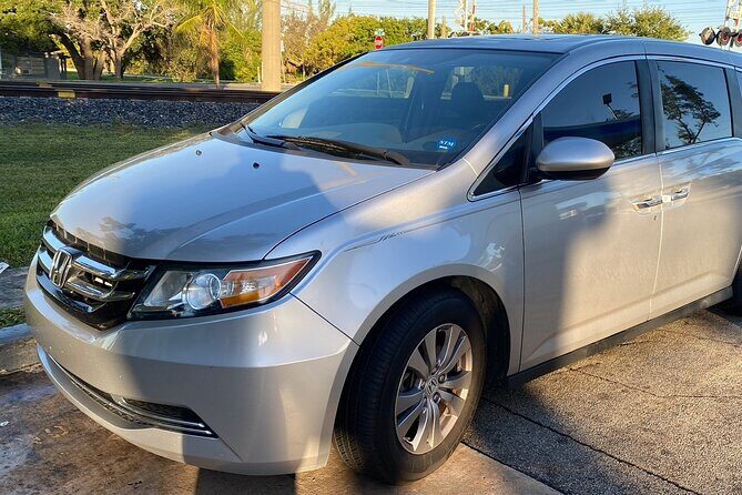 Private Transfer from Lifou Cruise Port to Lifou City Hotels - Analyzing the Value