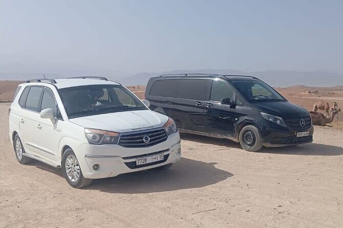 Private Transfer from Menara Airport to Marrakech Hotel - Who Should Consider This Service?