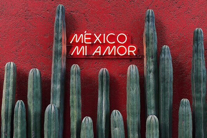 Private Transfer From Merida to Uxmal, English Speaking Driver - Who Should Consider This Service?