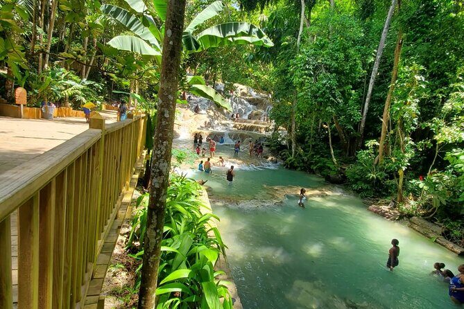 Private Transfer from Montego Bay to Dunns River Falls - Evaluating the Value: Is It Worth It?