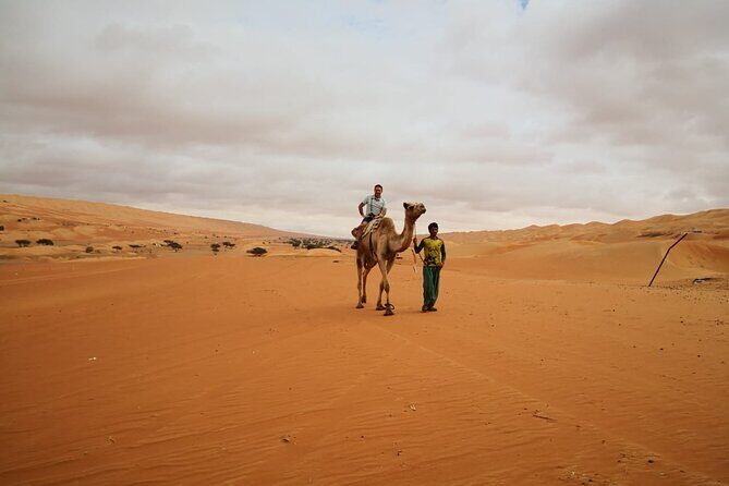 Private Transfer from Muscat to Wahiba Sand Desert by 4WD Vehicle - The Sum Up: Is this the right choice for you?