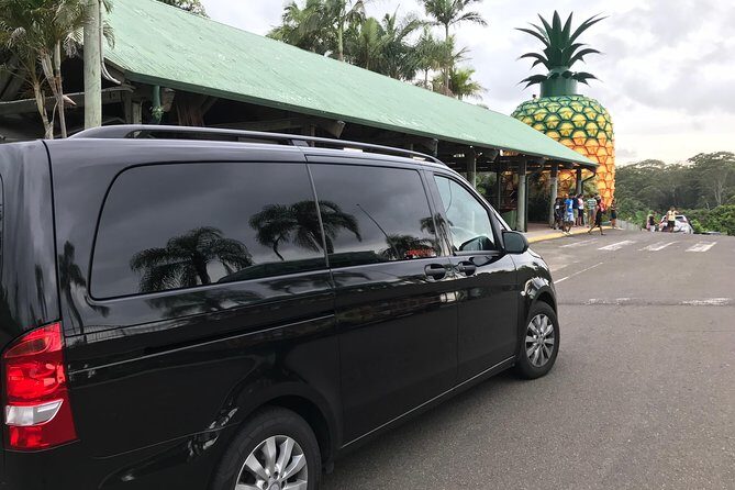 Private Transfer from Noosa to Sunshine Coast Airport up to 5 pax - What Travelers Are Saying