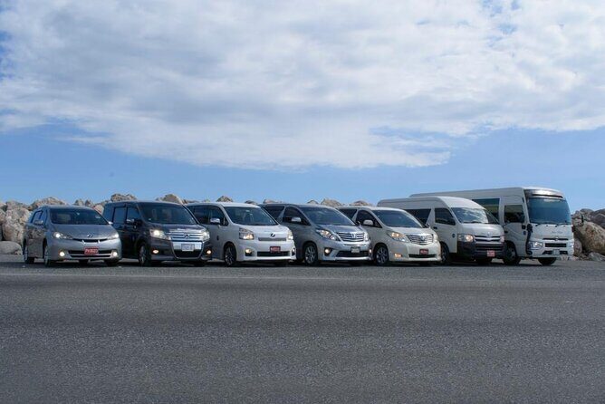 Private Transfer From Norman Manley Airport to Kingston one way - Key Points