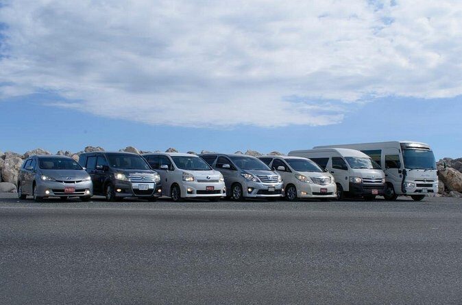 Private Transfer From Norman Manley Airport to Kingston one way - Booking and Cancellation Details