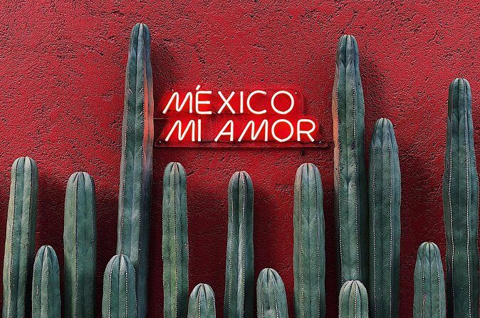 Private Transfer from Pachuca to Mexico City - Final Thoughts