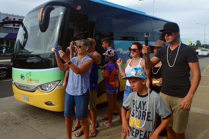 Private Transfer from Pacific Harbour hotels to Nadi Airport - Who This Transfer Is Best For