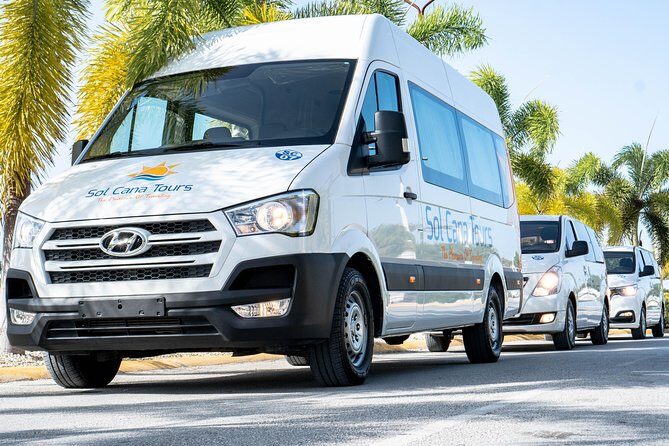 Private Transfer from Punta Cana Airport to Dreams Macao Beach Hotel - Why This Private Transfer Shines