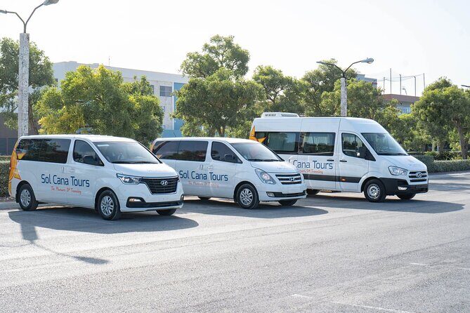 Private Transfer from Punta Cana Airport to Excellence El Carmen Resort - Key Points