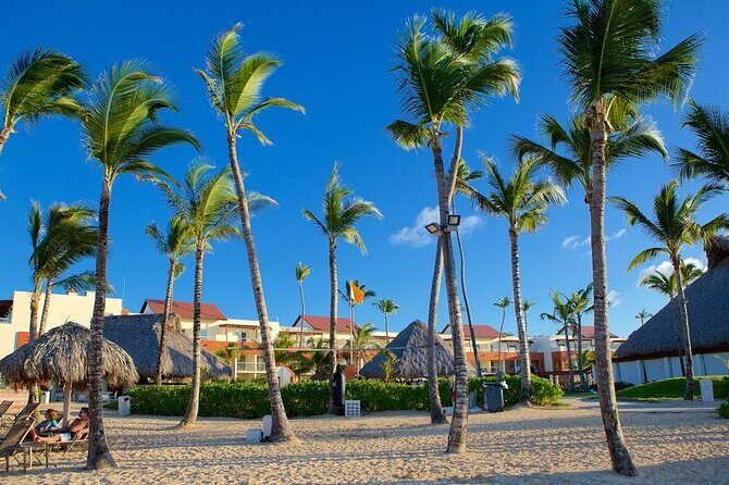 Private Transfer from Punta Cana Airport to Zona Hotels - What You Can Expect from This Punta Cana Airport Transfer