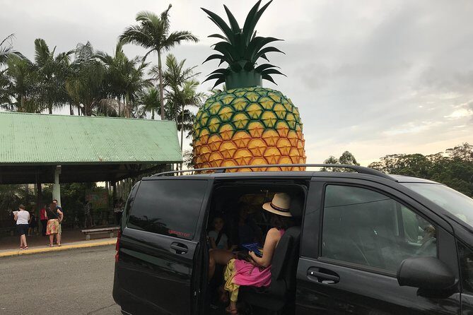 Private Transfer from Sunshine Coast Airport to Noosa 7 seater + Luggage Trailer - The Booking Experience and Customer Service