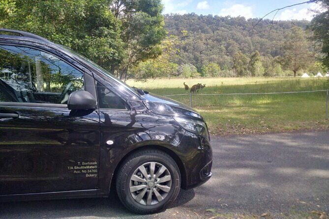 Private Transfer FROM Sydney CBD to Sydney Airport 1 to 5 people - Who Will Love This Service?