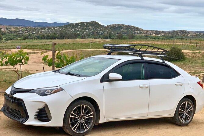 Private Transfer from Tijuana to Ensenada and Valle de Guadalupe - A Practical Look at the Private Transfer from Tijuana to Ensenada and Valle de Guadalupe