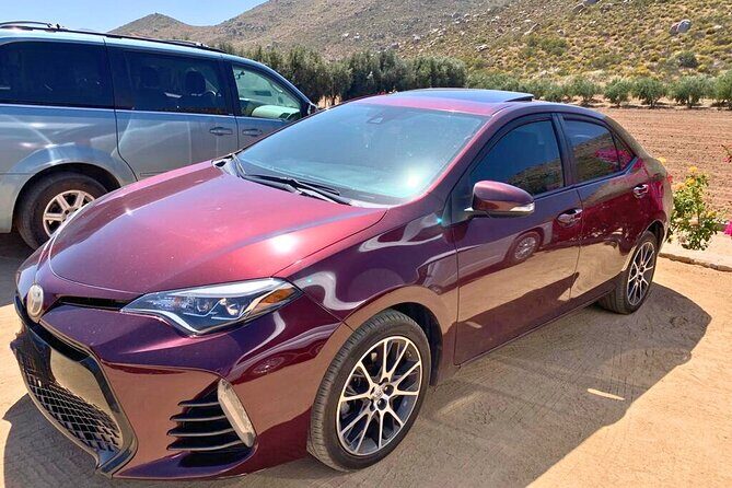 Private Transfer from Tijuana to Ensenada and Valle de Guadalupe - Why a Private Transfer Makes Sense for Your Trip