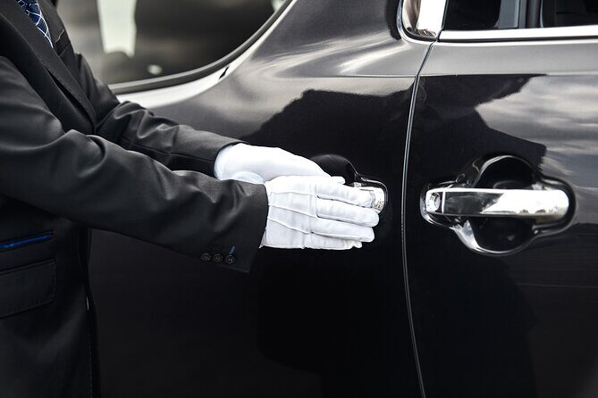 Private Transfer from Tokyo to Haneda Airport - The Vehicle and Space