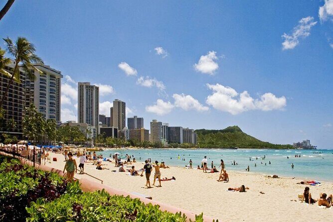 Private Transfer: Honolulu Airport HNL to Honolulu in Sedan Car - Introduction