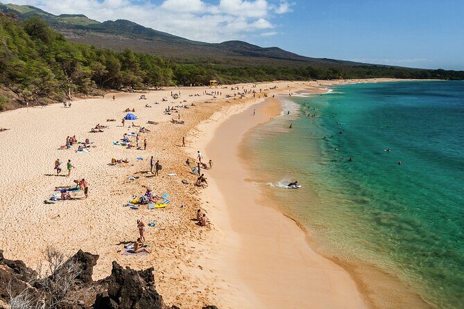 Private Transfer Kahului Airport OGG to Maui Kihei Lahaina Wailea - The Sum Up