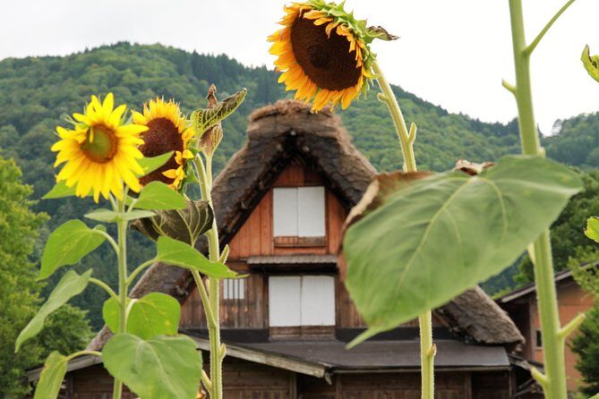 Private transfer Kanazawa to Takayama Including Shirakawago - An Introduction to the Experience