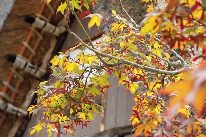 Private transfer Kanazawa to Takayama Including Shirakawago - FAQs