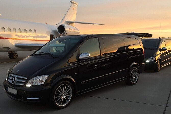 Private transfer Luxor Airport to your Hotel or Nile Cruises - Who Should Book This Service?