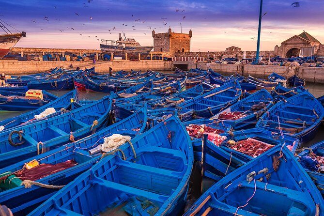 Private Transfer: Marrakech to Essaouira (Door-to-Door) - Why Choose This Transfer?