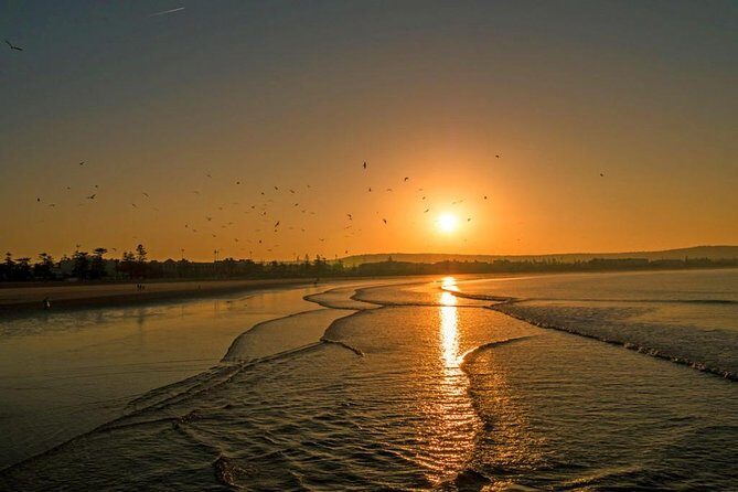 Private Transfer: Marrakech to Essaouira (Door-to-Door) - Pricing and Value