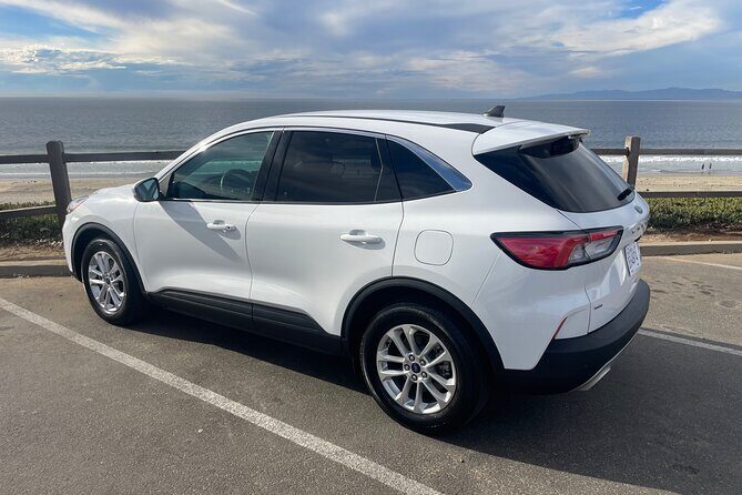 Private transfer on the LAX Airport in Los Angeles - Who Is This Service Best For?