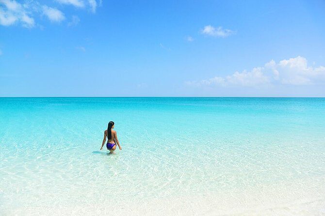 Private Transfer One Way Playa Mujeres (1 to 8 Passengers) - Key Points