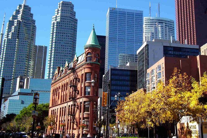 Private Transfer: Pearson Airport YYZ to Toronto in Luxury SUV - Final Thoughts: Who Should Consider This Transfer?