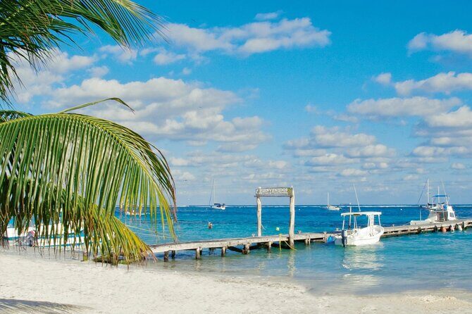 Private Transfer: Playa del Carmen to Cancun Airport CUN by SUV - Practical Details and Logistics