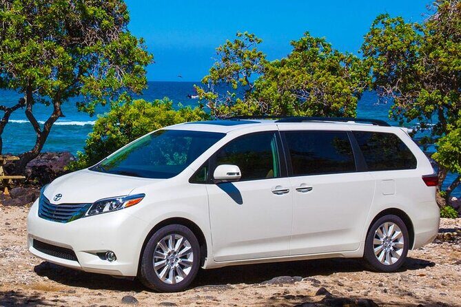 Private Transfer Punta Cana Airport to/from Barcelo Bavaro Palace - Why Choose This Transfer?