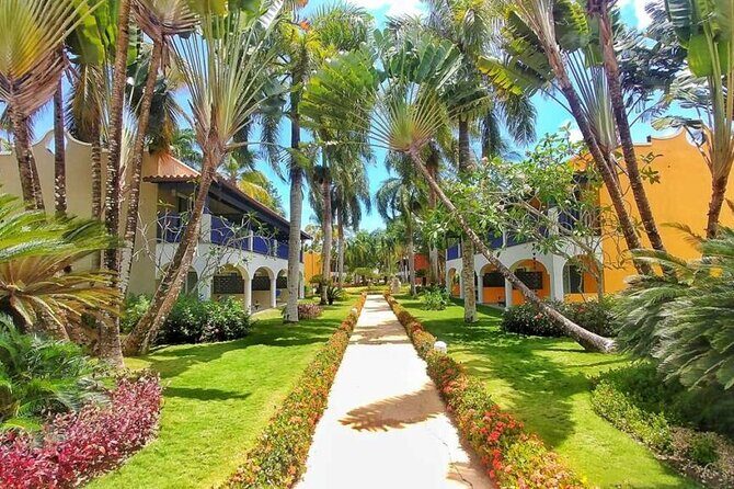 Private Transfer Punta Cana Airport to/from Catalonia Royal La Romana - Key Points