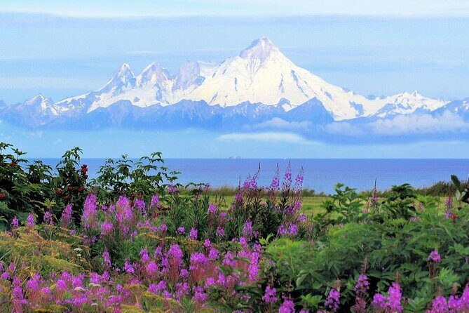 Private Transfer, Seward Cruise ship to Anchorage - The Sum Up: Is This Transfer Right for You?